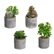 Glamorous Fusion Set Of 4 Assorted Succulent Artificial Fake Plant Decorative In