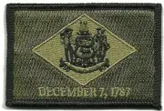 VELCRO® BRAND Fastener Morale HOOK PATCH State of Delaware OLIVE DRAB 3x2"