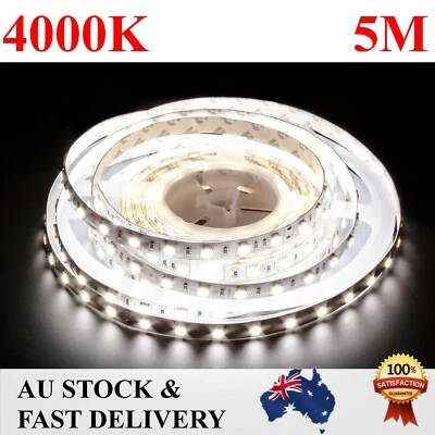 5050 SMD Natural White 5M 300Leds LED Strips Led Strip Lights Caravan Car 4000K