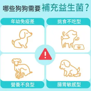 【Furluv 樂球】佳犬益生菌 2g/包；30包/盒(30億專利AB克菲爾菌/蔬果消化酵素/果寡糖-腸道健康/順暢有感)