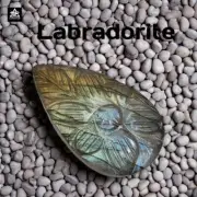 Hand Carved Labradorite 26.45 Ct Gemstone 29x16mm Fleshy Natural + Free Earrings