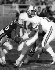 Vinny Testaverde Tampa Bay Buccaneers takes the snap 1990s Old Photo