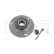 GSP Wheel Hub Assembly - 228058K