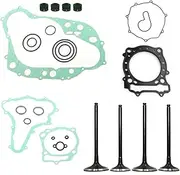 daili Store Compatible with Suzuki Compatible with Quadracer 450 LTR 450 LTR450 2006-2009 Motorcycle Engine Intake Exhaust Valve Stem Seal Cylinder Gasket Kit Complete