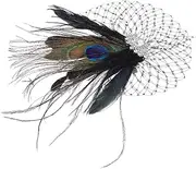 [CATIEBYE] Feathered Fascinator Hair Clip Vintage Netting Retro Hair Accessory for Women Comfortable Secure Grip Hairpin for Parties Weddings Special Events