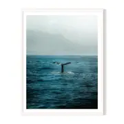 Whale Tail Framed Wall Art - White