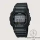 G-SHOCK 卡西歐 經典方形單顯示電子錶 / 經典復古 DW-5600E-1V [ 秀時堂 ]