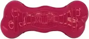 Kong Beezles Squeak and Rattle Bone Toy for Large Dog