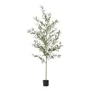 [Sleeping Giant] Olive Potted Tree Grey Green - 75cm x 75cm x 200cm