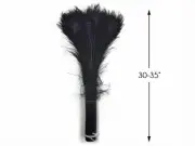 50 Pieces - 30-35" Black Bleached & Dyed Peacock Tail Eye Wholesale Feathers