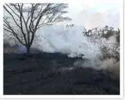 2018 Kilauea Volcano Charred Area Between Fissures 16 And 20 Silver Halide Photo
