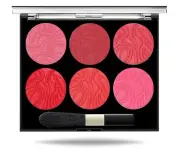 VARS LONDON 6 Color Soft Face Blusher Palette Multicolor Matte Finish 15 Gm