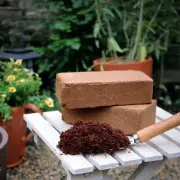 Coco Peat Bricks Coir Blocks Fibre Peat Sri Lanka Compost For Plants 500g Brick