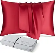 DISANGNI 100% Natural Mulberry Silk Pillow case for Hair and Skin with Hidden Zipper 22 Momme Both Sides Real Silk Pillow Case (1pc Queen Size 20" x30", Red)