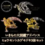 日本限定萬代豹紋守宮扭蛋 BANDAI 生物大圖鑑 環保扭蛋 全套 3款 日版GASHAPON ONLINE 肥尾守宮