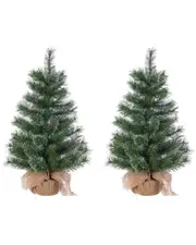 Sterling Tree Company Set Of 2 Un-Lit 30-Inch Hard Needle Pine In Burlap Bag Base