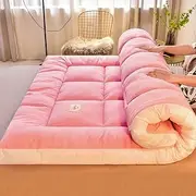 Futon Mattress Thickened Japanese Tatami Mattress Foldable Rolled Up Floor Mattress Student Dormitory Home Camp Full Size Mattress LLCDZR(AA,120x200cm)