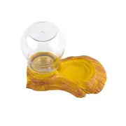 Nevenka Reptile Automatic Drink Bowl for Tortoise Spider Lizard-A