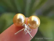 GOLD 8mm Shell Pearl Earring Studs - 925 SOLID Sterling Silver