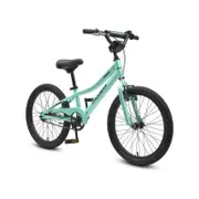 Progear Duralite 20" Bike In Mint