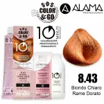 [Alama] SOS color & go 10 minutes 8.43 coloring 10min duo set 90 + 90 ml kit