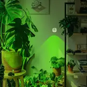 Wireless LED Spotlight 3000K 4000K 5000K Uplighting Indoor for Wall Art Display-White
