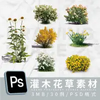 在飛比找蝦皮購物優惠-PS灌木花草30例PSD格式