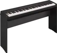 在飛比找Yahoo!奇摩拍賣優惠-【澄風樂器】山葉 Yamaha P-45B 88鍵 電鋼琴 