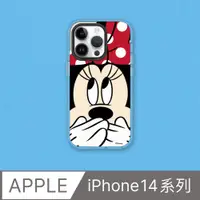 在飛比找PChome24h購物優惠-【犀牛盾】iPhone 14系列Clear透明防摔手機殼｜迪