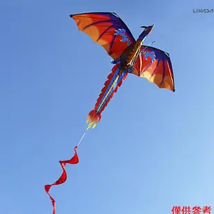 [新品]140cm x 120cm / 55 x 47 英寸龍風箏單線帶尾風箏100m 飛線兒童成人[26]