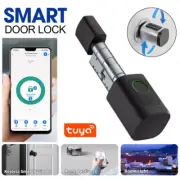 Smart Door Lock Cylinder Finger prints Tuya Remote Control Smart Lock 2024 NEW