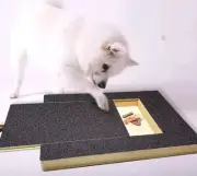 Dog Nail Scratch Board Pull-Out Treat Box Durable Nail Grooming Board for Dogs