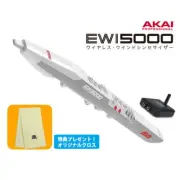 AKAI EWI 5000 WJ White Wind Synthesizer EWI5000WJ AKAI Japan JP