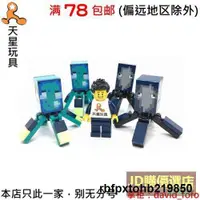 在飛比找露天拍賣優惠-樂高LEGO 我的世界 minesquid01 minesq