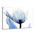 Albert Koetsier Blue Tulip Flower Glass Wall Art