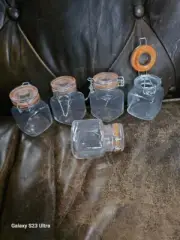 Set Of 5 Glass 3”x2” Spice Jars