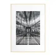 Cooper & Co. Platinum Metal Frame A1/A2