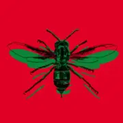 Jacob Mafuleni & Gary Gritness - Batanidzo (LP)