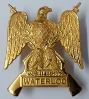 Genuine British Military Large RSDG Royal Scots Dragoon Guards Badge GIM49