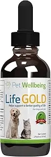 Pet Wellbeing Detox Gold for Dogs - Gentle Detoxification & Elimination Support, Immune System Care, Nettle, Blessed Thistle, Burdock Root - Veterinarian-Formulated Herbal Supplement 2 oz (59 ml)