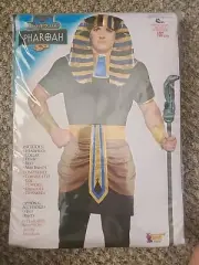 Egyptian Pharaoh King Ramses Egypt Ancient Ruler Tutankhamun Up To 42" Costume