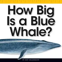 在飛比找博客來優惠-How Big Is a Blue Whale?