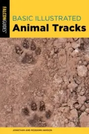 Basic Illustrated Animal Tracks by Roseann Hanson 9781493067114 Paperback soft