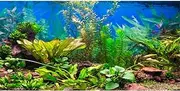 AWERT 36x20 inches Aquarium Background Aquatic Plant River Bed & Lake Fish Tank Background Vinyl