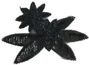 Black Double Flower Floral Beaded Sequined Sew-On Applique Craft Patch Vintage
