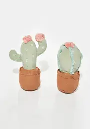 [Mon Ami] Cactus Pot Shelf Sitter Set
