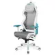 ※售完DXRacer AIR系列 電競賽車椅 Gaming Chair AIR-002 白框/湖水藍