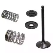 Psychic Intake Valve Kit for Yamaha fits TW200 Trailway 200, XT225 & XT250