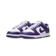 Nike Dunk Low Court Purple 白紫 DD1391-104