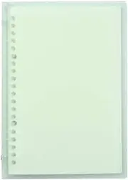 Transparent A5 Refillable Notebook 20 Rings/Holes Loose Leaf Binder Pp Cover 30 Sheets Ru Lined Paper Refillable Binder for Office Home School Students Supplies Green A5
